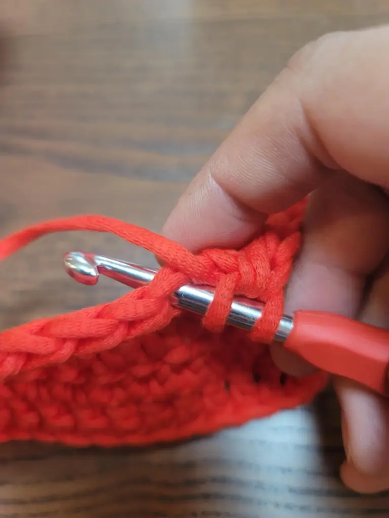 Picture of 2 loops on the crochet hook and hook inserted into next stitch.