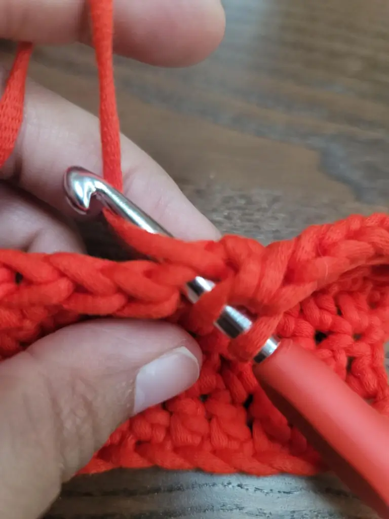 Picture of 2 loops on the crochet hook, inserted into the next stitch with a yarn over.