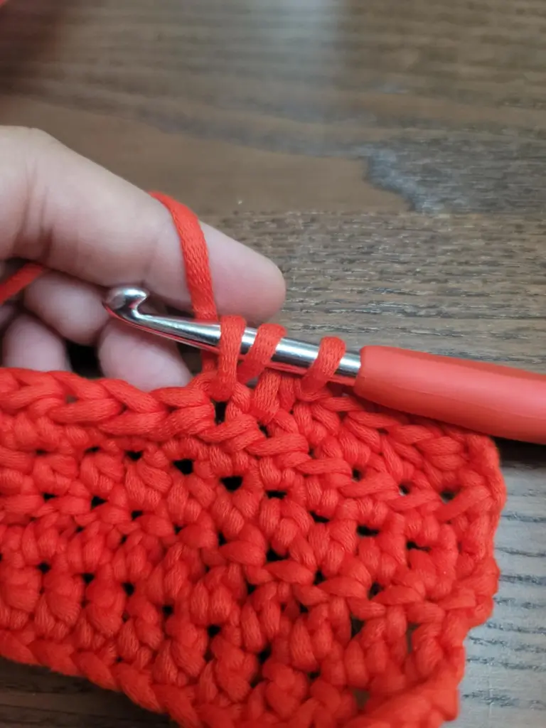 Picture of 3 loops on the crochet hook.