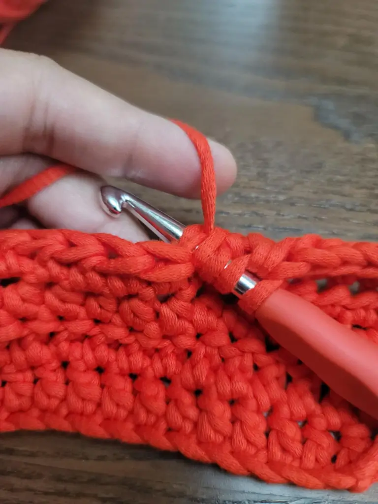 Picture of 4 loops on the crochet hook and the hook inserted into the next stitch.
