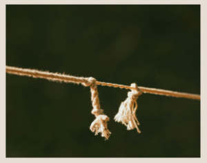 picture of a yarn strand with 2 knots where the yarn between the knots looks much thinner